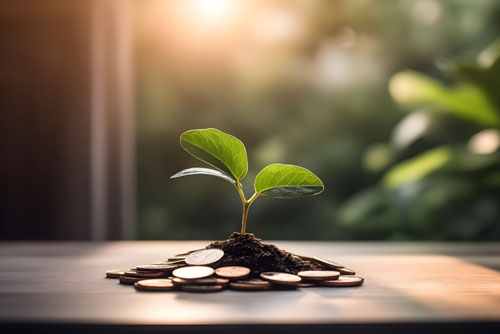 How a Credit Union Can Help You Build a Solid Financial Foundation in 2025