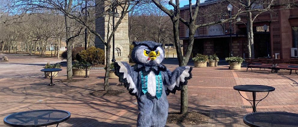 Smarty the Owl visits beautiful Downtown Corning, New York